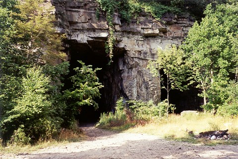 Picture