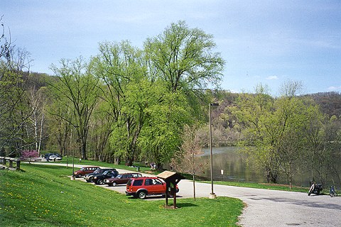 Picture