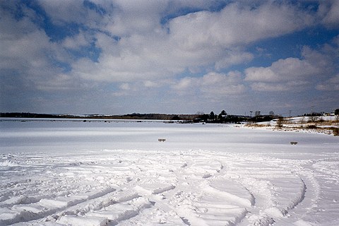 Picture
