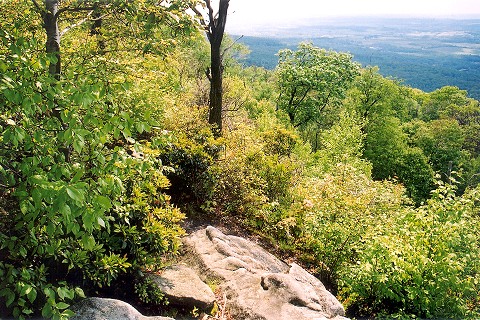 http://photographs.mccumber.us/480/fw_lickhollow_pineknob01.jpg