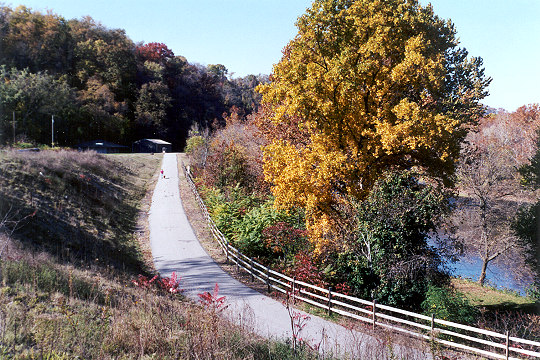 Youghiogheny River Trail Blazed in Autumn Color Picture