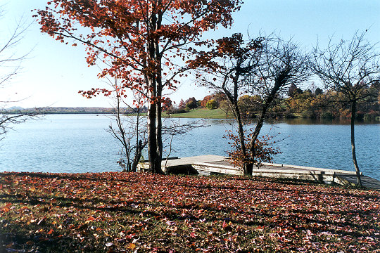 An Autumn Experience at Greenlick Run Lake Picture