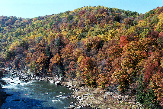 View From a Youghiogheny River Trail Bridge at Ohiopyle Picture