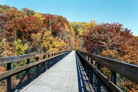 Youghiogheny River Trail Bridge at Ohiopyle Picture