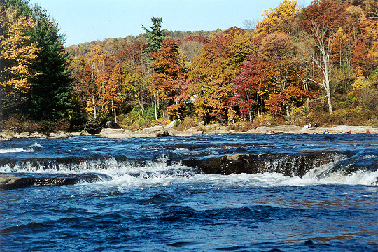Youghiogheny River Back Dropped in Reds and Oranges of Autumn Picture