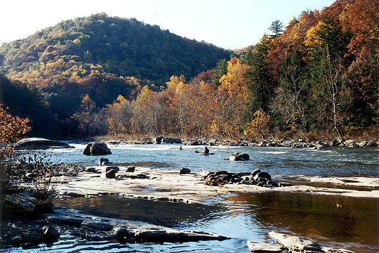 Lone Kayaks Challenge the Youghiogheny at Ohiopyle in Autumn Picture