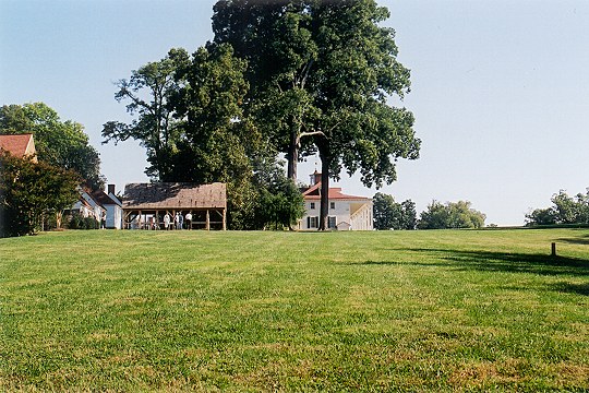 View From the South Lawn of Washington's Mansion Picture