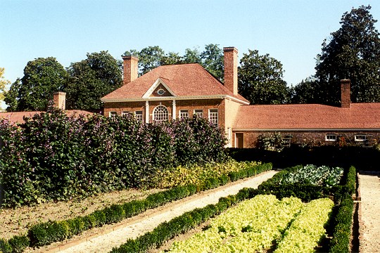 A Scene From the Upper Garden at Mount Vernon Picture