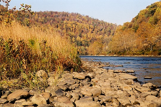 A Youghiogheny River Island Colored by Autumn Picture