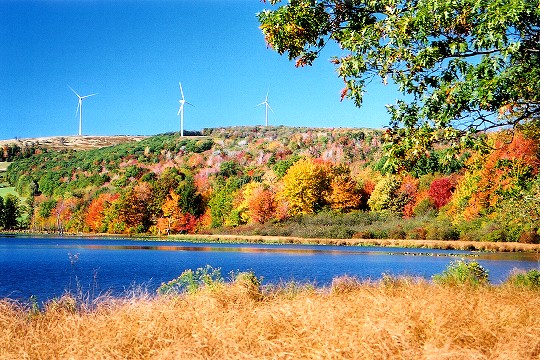 Laurel Ridge Windmills Above Cranberry Glade Lake Picture