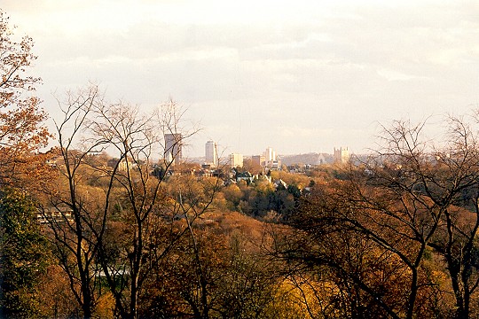 An Autumn Evening View from Observatory Hill Picture