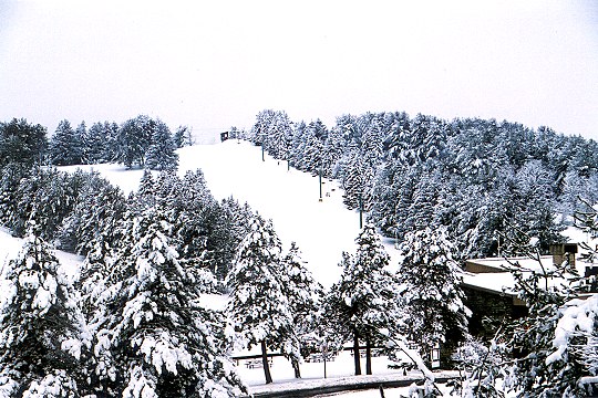 Boyce Park's Ski Slope Under Heavy Snow Picture