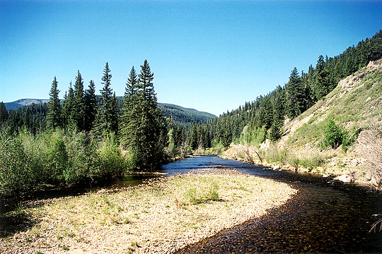 Valley Stream Flowing Below the San Juan Mountains Picture