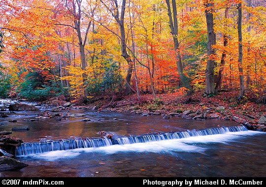 Bursts of Autumn Color along Scenic Dunbar Creek Picture
