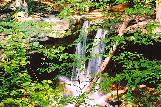 Foliage Before Linn Run State Park's Adam Falls Picture