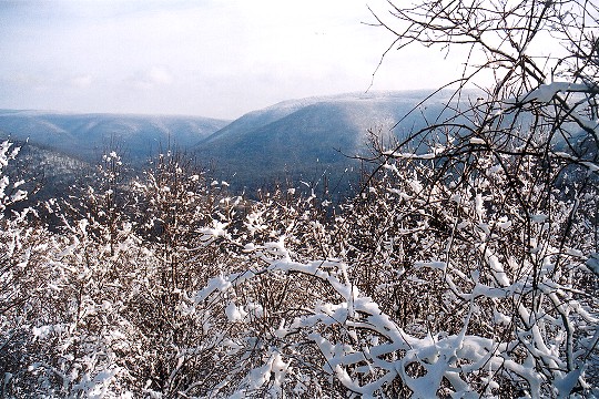 Wintry Youghiogheny River Gorge From Baughmans' Overlook Picture