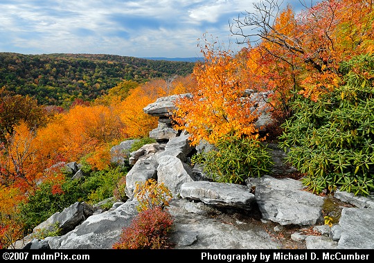 View Past Sprawling Wolf Rocks Overlook in Autumn Picture