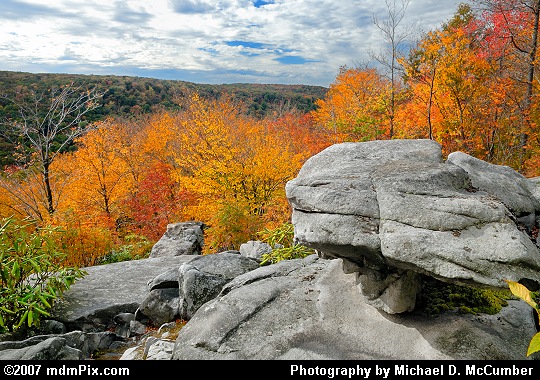 Autumn Yellow, Orange, and Red at Wolf Rocks Picture
