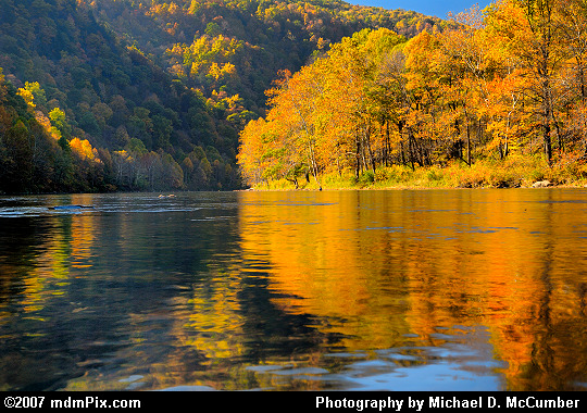 Laps of Youghiogheny Water Reflecting Autumn Foliage Picture