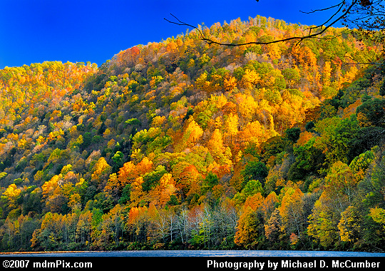Gorges Carved in Chestnut Ridge Featuring Fall Foliage Picture