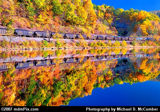 Train Along the Youghiogheny River Surrounded by Fall Foliage Picture