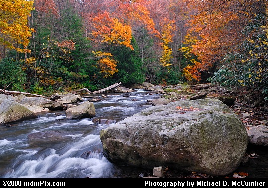 Autumn Color along Ohiopyle's Meadow Run Picture