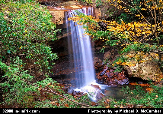 Cucumber Falls with Mountain Laurel, Hemlock, and Fall Foliage Picture