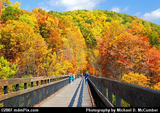 Observers Awestruck by Autumn Foliage on a Trail Bridge Picture