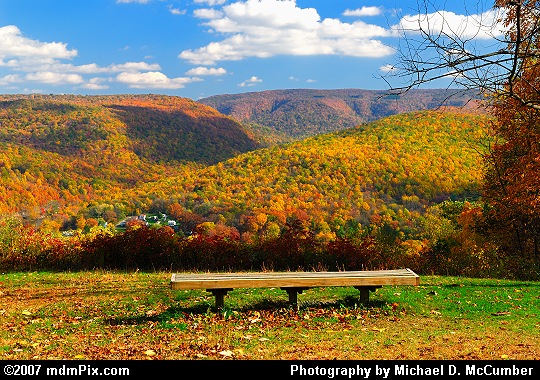 Autumn Color behind a Tharp Knob Overlook Bench Picture