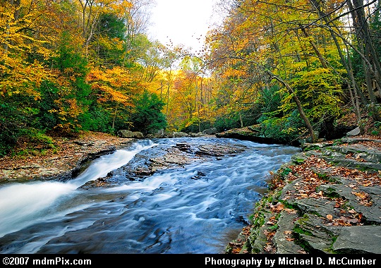 Autumn Above Meadow Run's Natural Waterslides Picture