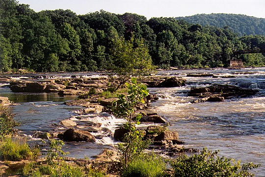 Youghiogheny River Rapids in Morning Light Picture