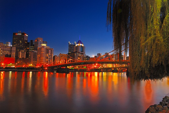 Willow Tree Along the Allegheny River in Pittsburgh Picture