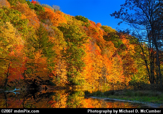 Fall Foliage above a Small Peninsula in Laurel Hill Lake Picture