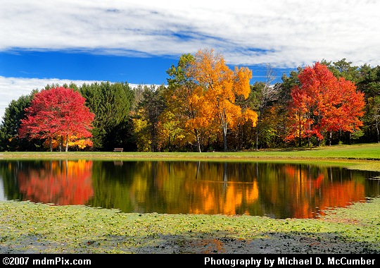 Pond at the Somerset Historical Center with Fall Foliage Picture