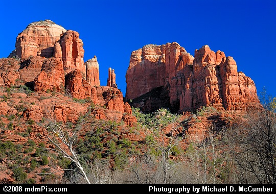 March Sun Against Cathedral Rock at Sedona Picture