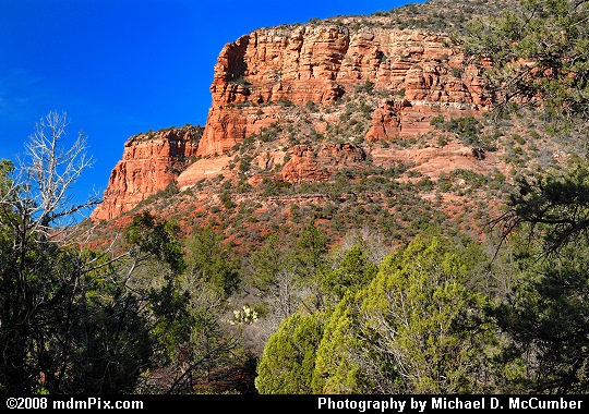 Desert Mesa's Red Walls of Rock near Sedona Picture