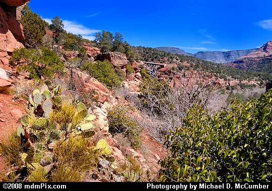 Desert Cacti and a Distant Midgley Bridge Picture