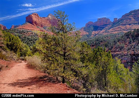 Mountains of Red Rock Surround Oak Creek Canyon Picture