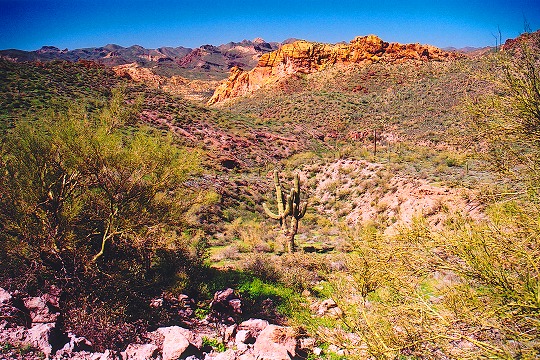 Distant Superstition Mountains with Desert Color Near Tortilla Flat Picture