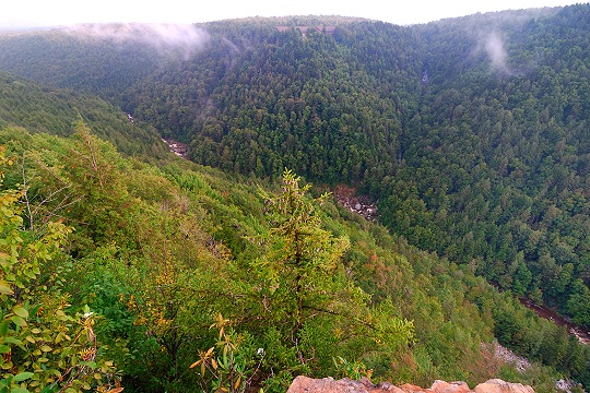 Pendleton Point's Eastward View of the Blackwater River Canyon Picture