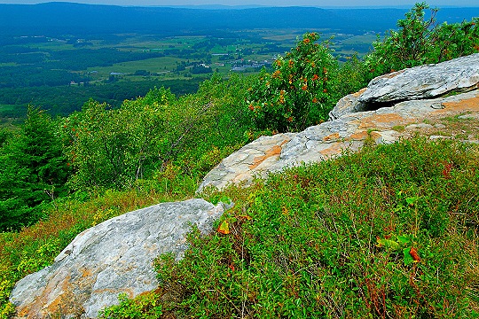 Looking Down at Canaan Valley from Bald Knob Picture