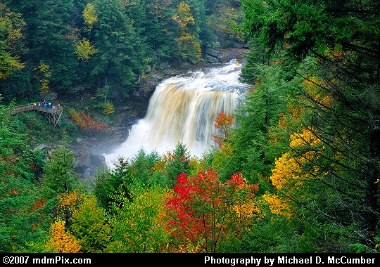 Autumn View of Blackwater Falls from a High Overlook Picture