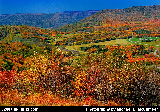 Overlooking Canaan Valley with Autumn Foliage Picture