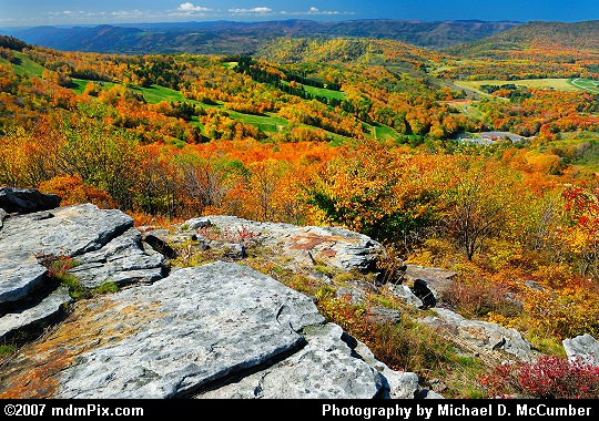 Looking Southwest from Bald Knob with Autumn Orange Picture