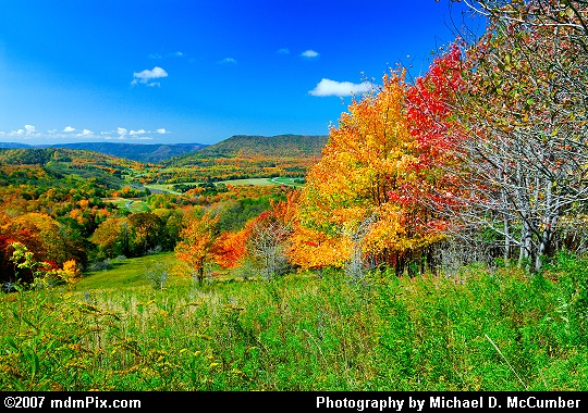 Wide Angled View of Southern Canaan Valley Picture