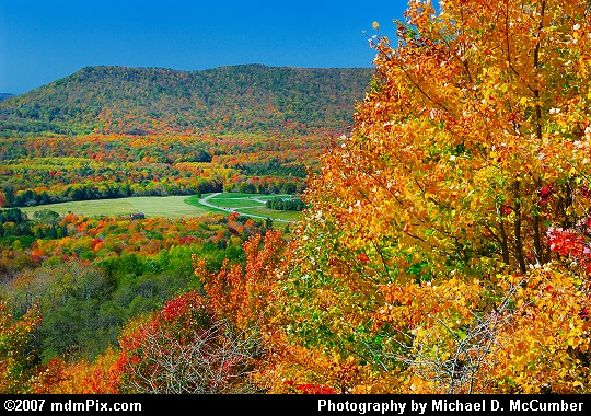 Looking Past Fall Foliage into Canaan Valley Picture